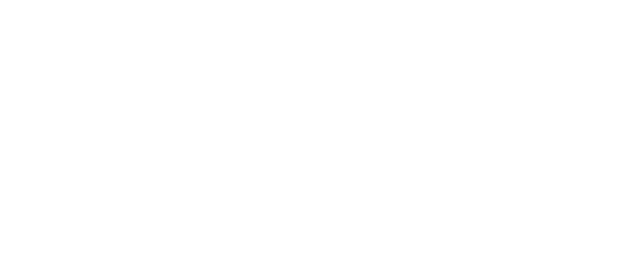 ROLLY OFFICIAL WEBSITE